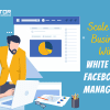 Socinator - white-label-Facebook-ad-management